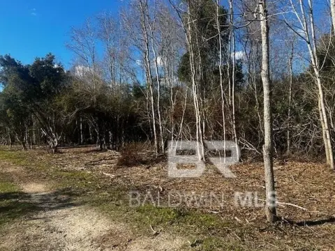 Unrestricted Land in Theodore, AL