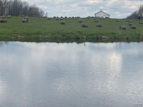 Caneadea Land with Pond & Barn