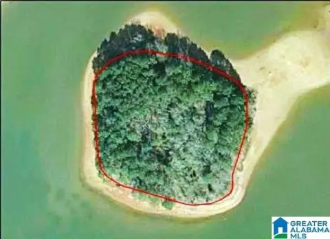 Island Acreage in Lincoln, AL