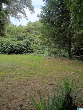 Two Acre Wooded Residential Lot