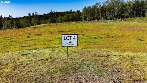 Waterfront Land Lot