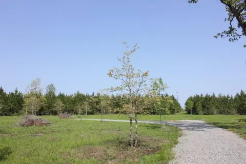 10 Acres in Diboll ISD