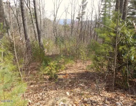 Wooded Lot in Gated Community