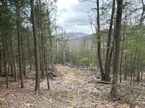 Hunting and Recreation Land with Cabin