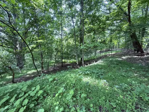 Tazwell Vacant Land For Sale