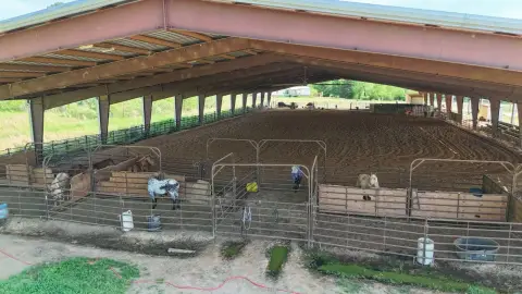 Equestrian Arena on Highway Frontage