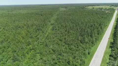 Hunting Land with Internal Road