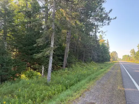 Forested Recreation Land
