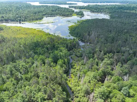 Riverfront Hunting Land