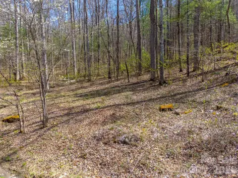 Tuckasegee Land Parcel For Sale