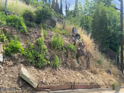 Los Angeles Residential Lot Opportunity