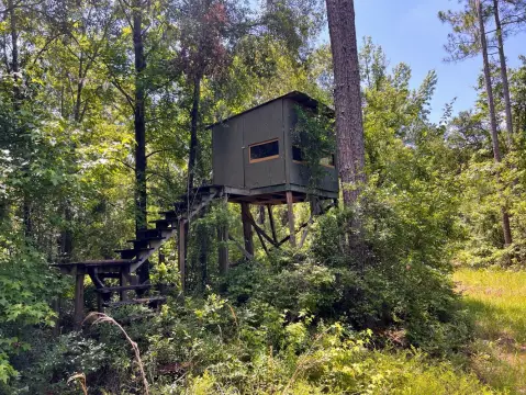 Unrestricted Land Near Bienville Plantation