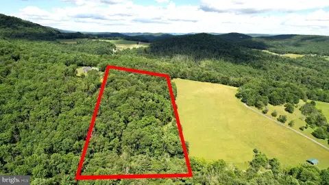 Wooded Building Lot
