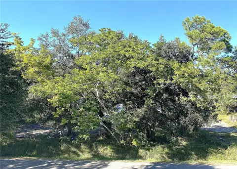 East Tampa Build-Ready Land