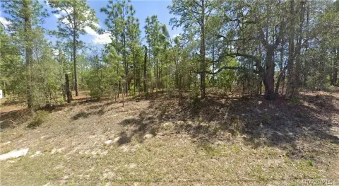 Citrus Springs Corner Lot