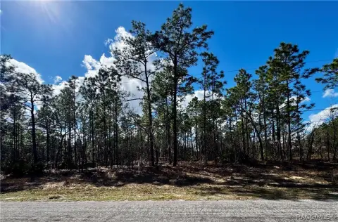 Dunnellon, FL Vacant Lot