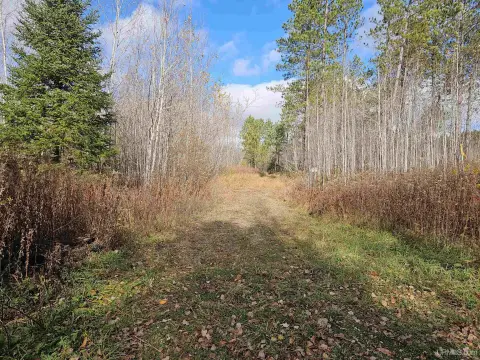 Iron River Vacant Land