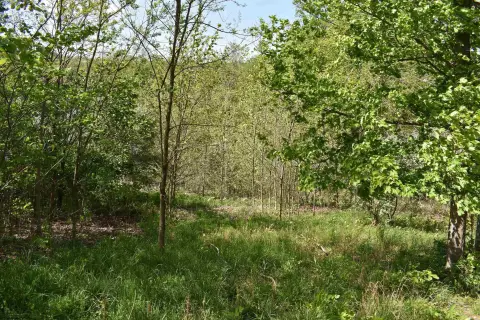 Residential Land in Falling Water