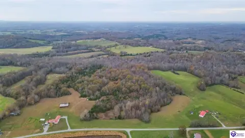 31.3 Acres in Magnolia, KY