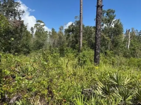 Recreational Land in Kathleen, Florida