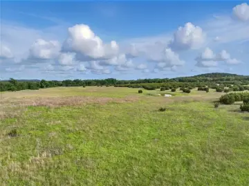 Texas Ranch with Hunting Potential