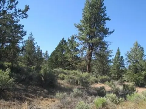 Secluded Land in Klamath County