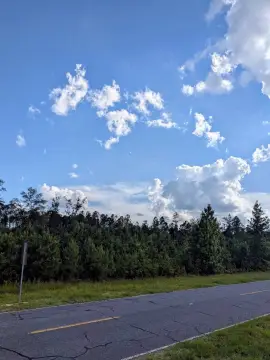 Pembroke, GA Vacant Land