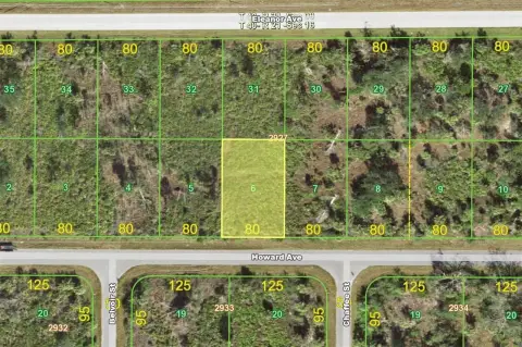 Vacant Lot in Port Charlotte