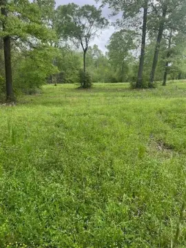 Vacant Land Ready to Build