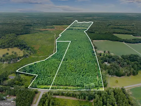 232 Acres of Undeveloped Land
