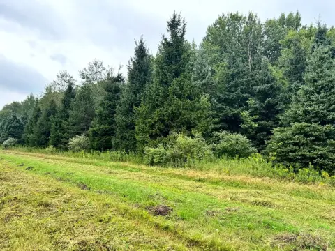 Wooded Recreational Land