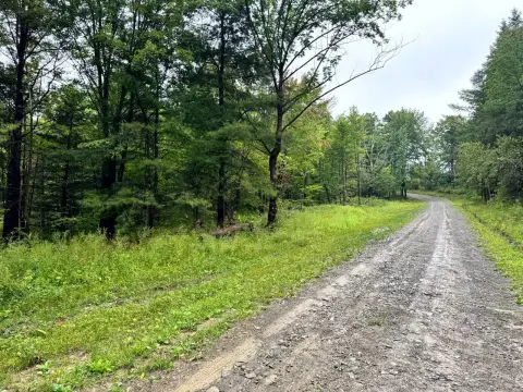 Wooded Recreational Land