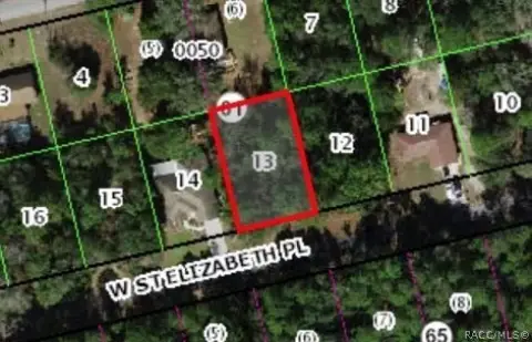 Residential Lot in Citrus Springs