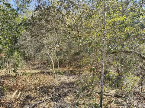 Citrus Springs Residential Lot