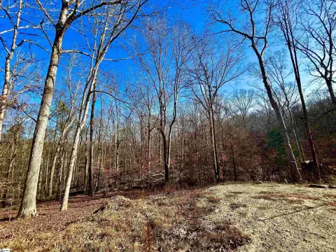 Residential Lot in Foxwood Hills