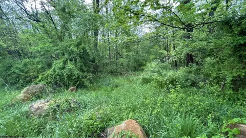 Residential Land Near Town Center
