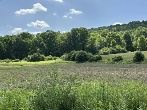 Level Tillable Farmland Tract