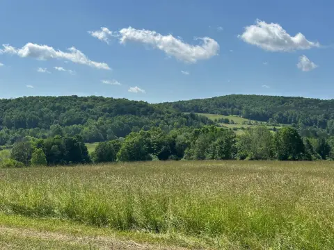 Agricultural Land with Hay Fields
