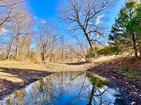 Hunting and Homesite Land with Pond