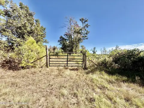 Hunting Land Bordering National Forest