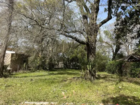 Jacksonville Lot Near Urban Core