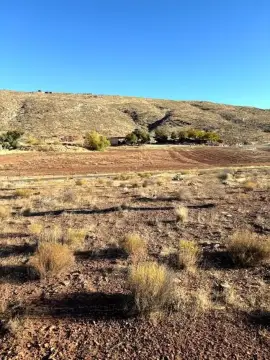 Leeds, UT - 5 Acre Land