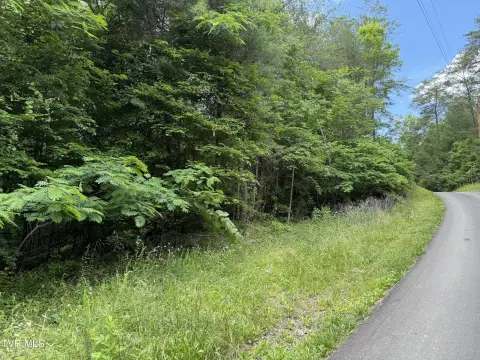 Wooded Residential Lot with Road Frontage