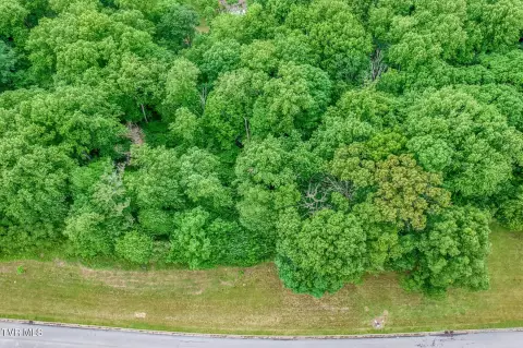 Golf-Course Single-Family Homesite