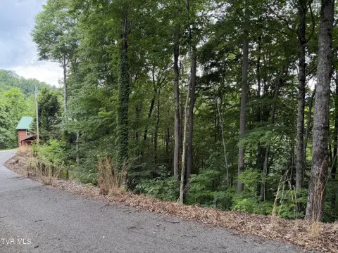Wooded Mountain Land in Gated Resort