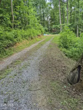 Residential Land in Johnson City