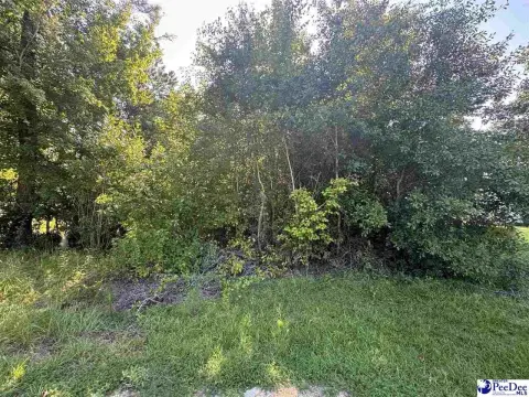 Residential Lot in Florence, SC