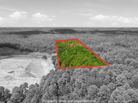 Wooded Unrestricted Land