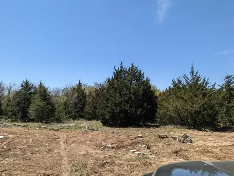 Wooded Land Ready for Development