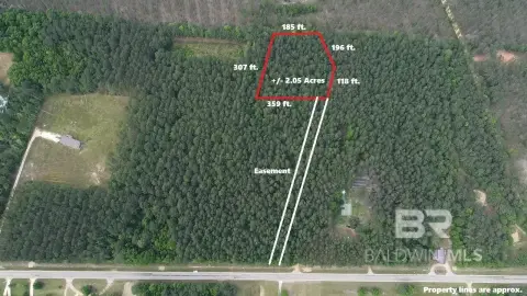 Uriah, AL Wooded Land Parcel